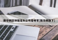 新华网区块链龙头公司是哪家[新华网旗下]